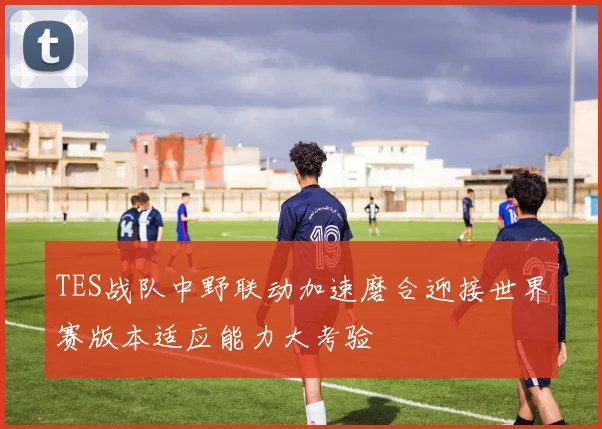 TES战队中野联动加速磨合迎接世界赛版本适应能力大考验