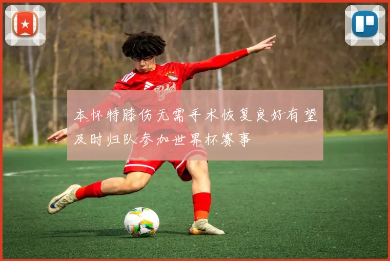 本怀特膝伤无需手术恢复良好有望及时归队参加世界杯赛事